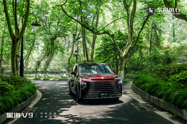 1716540560716375.jpg 1716540219766.jpg